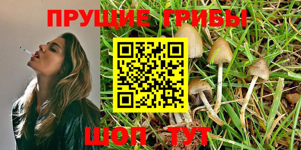 Усть-Илимск  Галлюциногенные грибы GOLDEN TEACHER  Вход с VPN 
